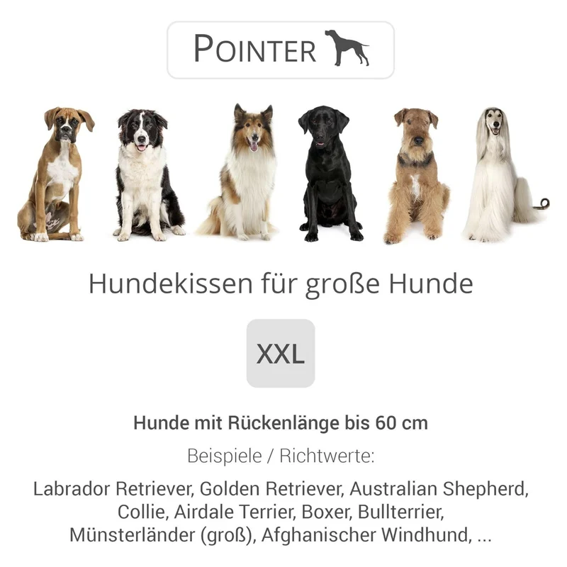 Pointer Hundekissen by Doctor Bark – Orthopädisches Premium-Hundebett mit Gelenkentlastung & Wärmespeicherung für schmerzfreien Schlafkomfort