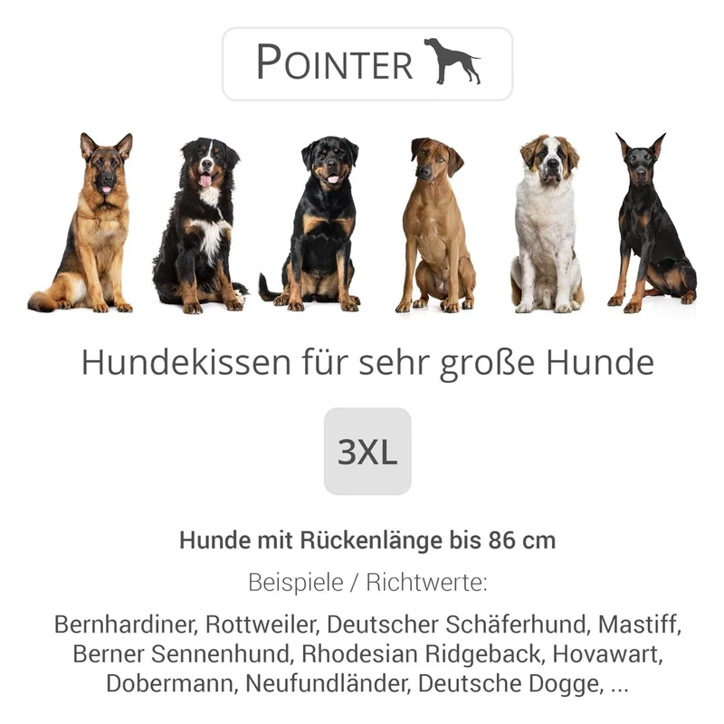 Pointer Hundekissen by Doctor Bark – Orthopädisches Premium-Hundebett mit Gelenkentlastung & Wärmespeicherung für schmerzfreien Schlafkomfort