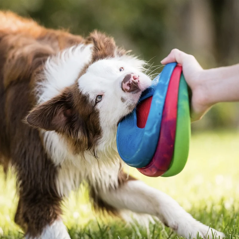 West Paw Seaflex Sailz – Schwimmfähiges Frisbee-Hundespielzeug für Apportierspiele