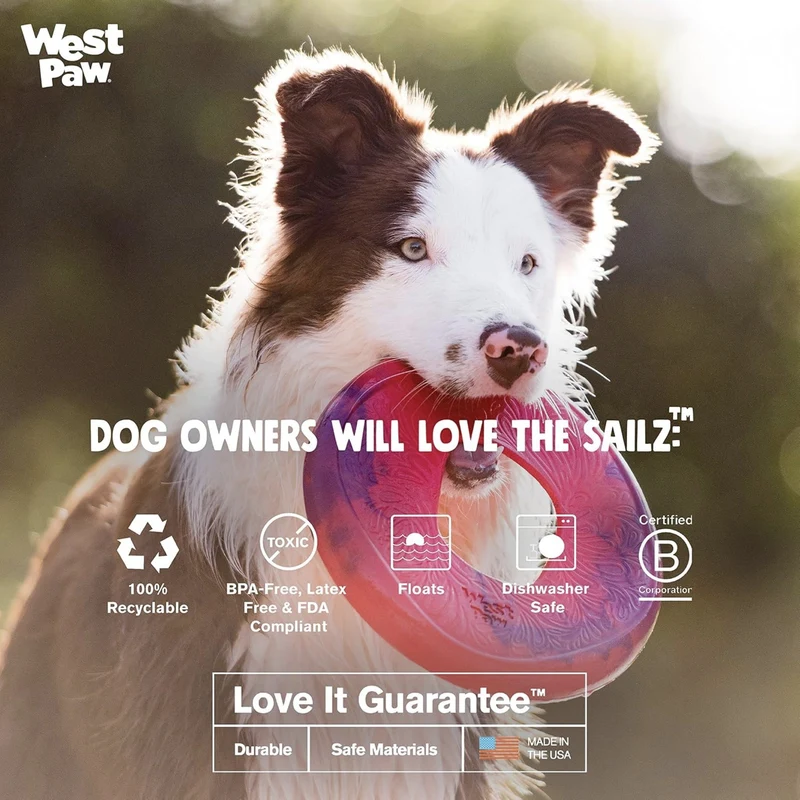 West Paw Seaflex Sailz – Schwimmfähiges Frisbee-Hundespielzeug für Apportierspiele