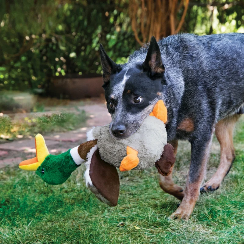 KONG Shakers Honkers Ente – Interaktives Quietsch-Hundespielzeug mit extralangem Hals für stundenlangen Schüttel- & Apportierspaß