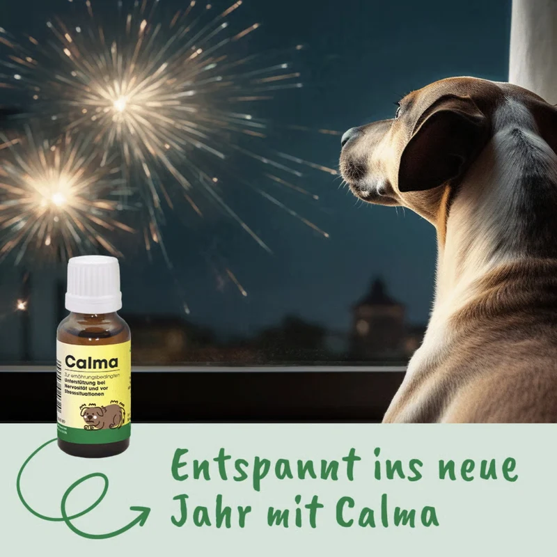 cdVet Calma - Natürliche Beruhigung für gestresste Hunde & Katzen bei Angst, Nervosität & Unruhe