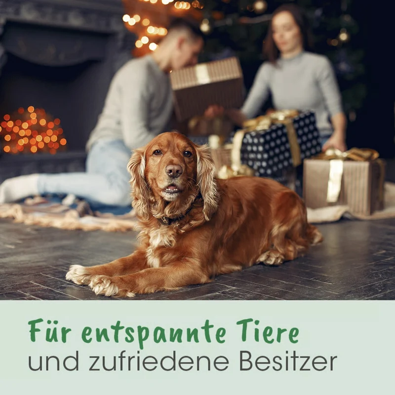 cdVet Calma - Natürliche Beruhigung für gestresste Hunde & Katzen bei Angst, Nervosität & Unruhe