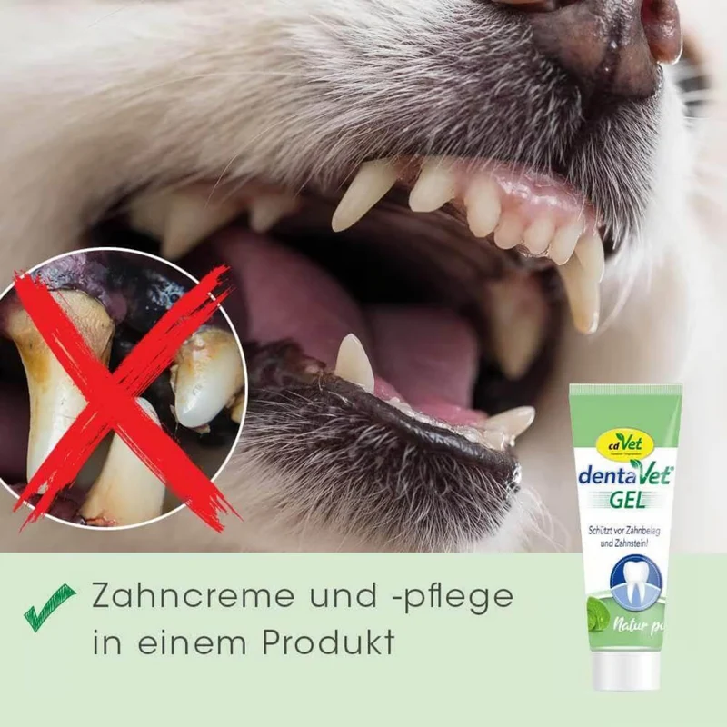 cdVet dentaVet Gel – Natürliche Zahnpflege für Hunde gegen Zahnstein, Mundgeruch & Zahnfleischentzündung