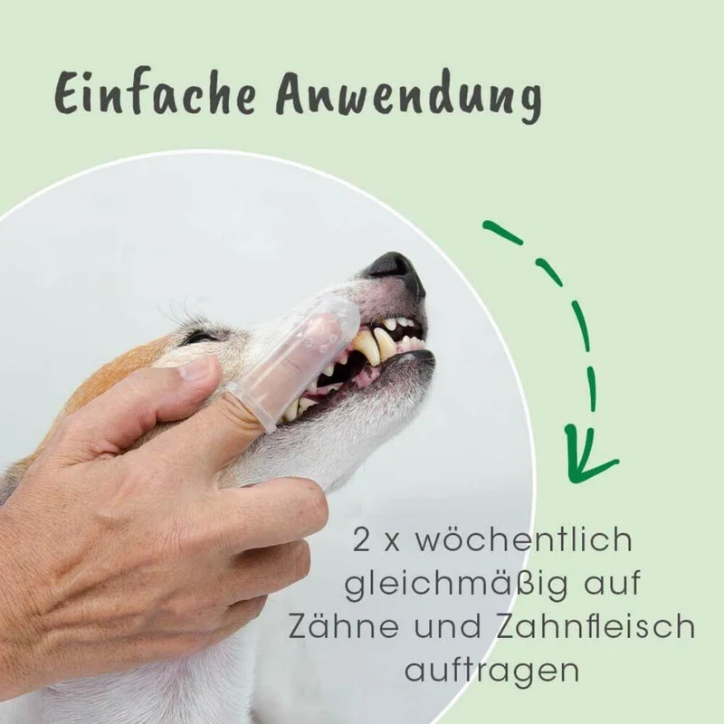 cdVet dentaVet Gel – Natürliche Zahnpflege für Hunde gegen Zahnstein, Mundgeruch & Zahnfleischentzündung