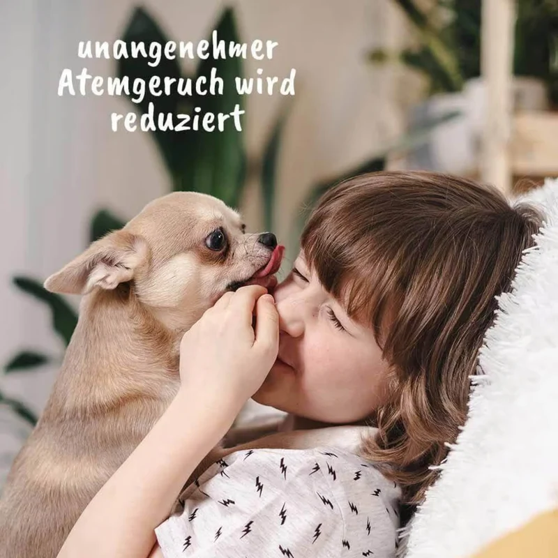 cdVet dentaVet Gel – Natürliche Zahnpflege für Hunde gegen Zahnstein, Mundgeruch & Zahnfleischentzündung
