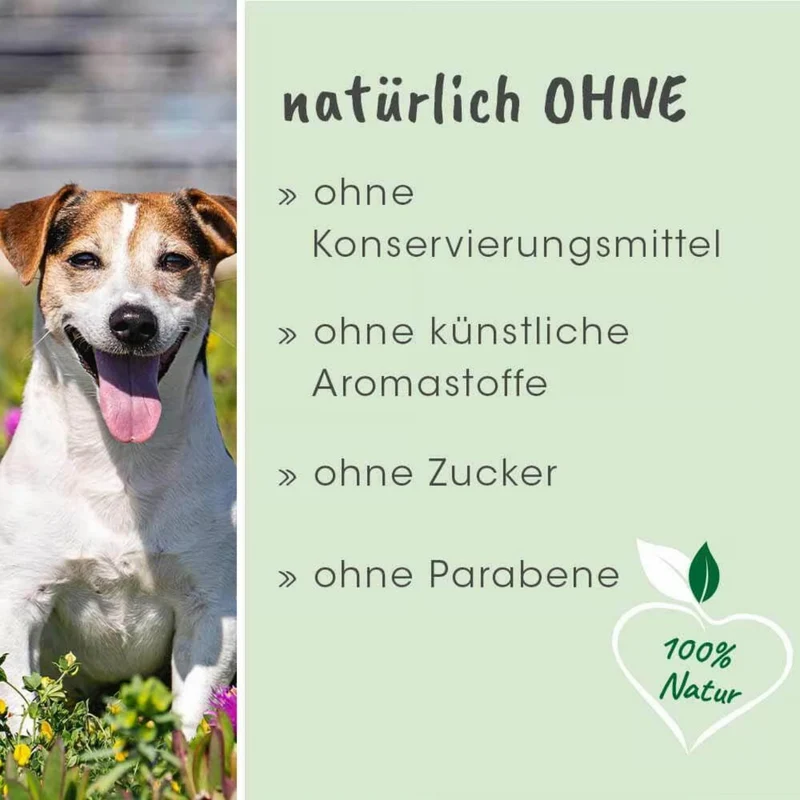 cdVet dentaVet Gel – Natürliche Zahnpflege für Hunde gegen Zahnstein, Mundgeruch & Zahnfleischentzündung