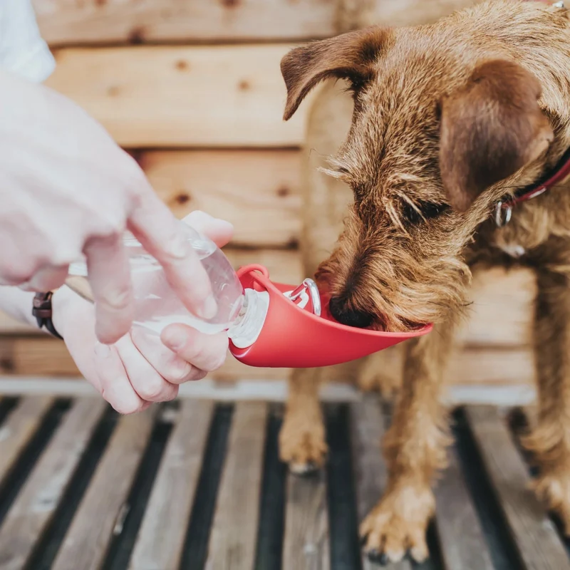 Hunter Outdoor Trinkflasche List mit Silikonnapf – 2-in-1 Hunde Reisenapf für unterwegs, auslaufsicher mit Karabiner, lebensmittelechter Silikon-Napf für Wandern & Reisen