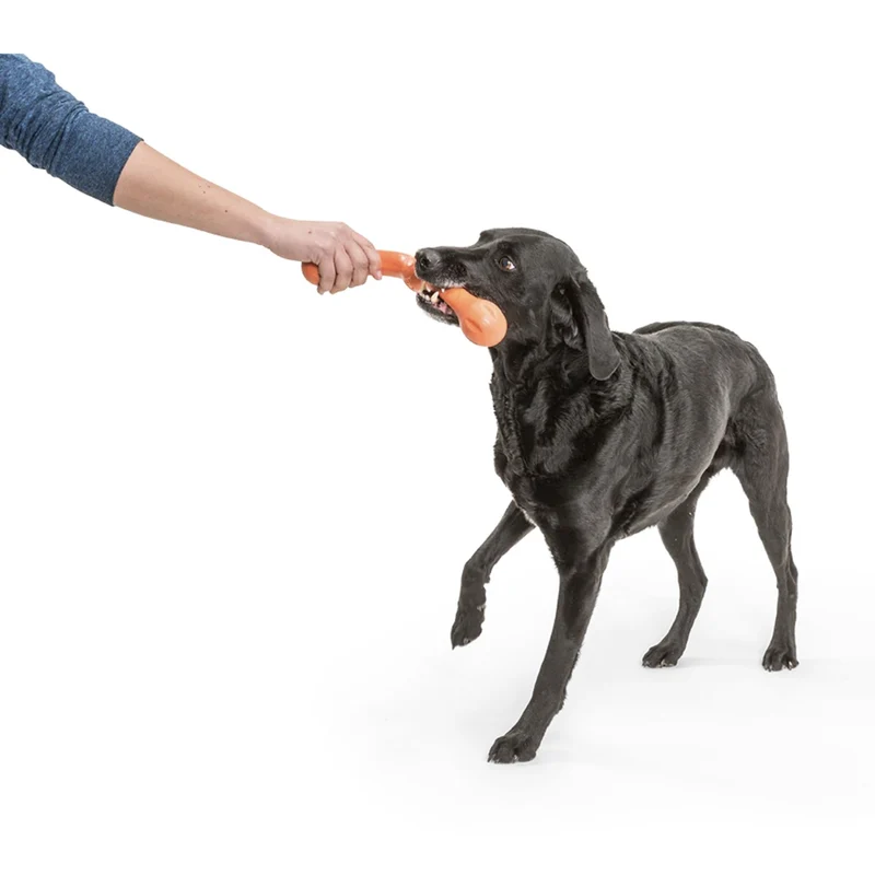 West Paw Zogoflex Zwig – Apportierspielzeug für aktive Hunde, schwimmfähig & robust