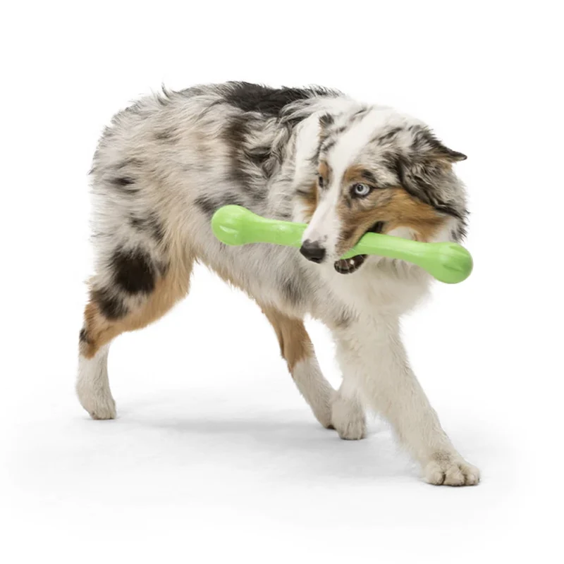 West Paw Zogoflex Zwig – Apportierspielzeug für aktive Hunde, schwimmfähig & robust