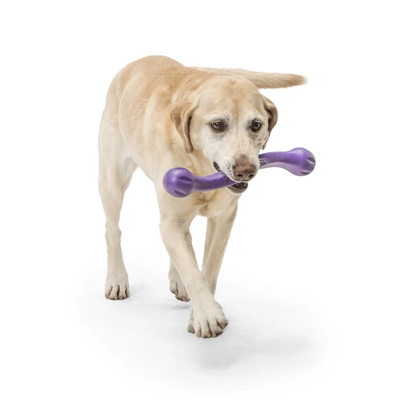 West Paw Zogoflex Zwig – Apportierspielzeug für aktive Hunde, schwimmfähig & robust