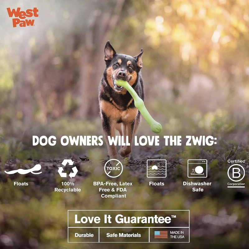 West Paw Zogoflex Zwig – Apportierspielzeug für aktive Hunde, schwimmfähig & robust