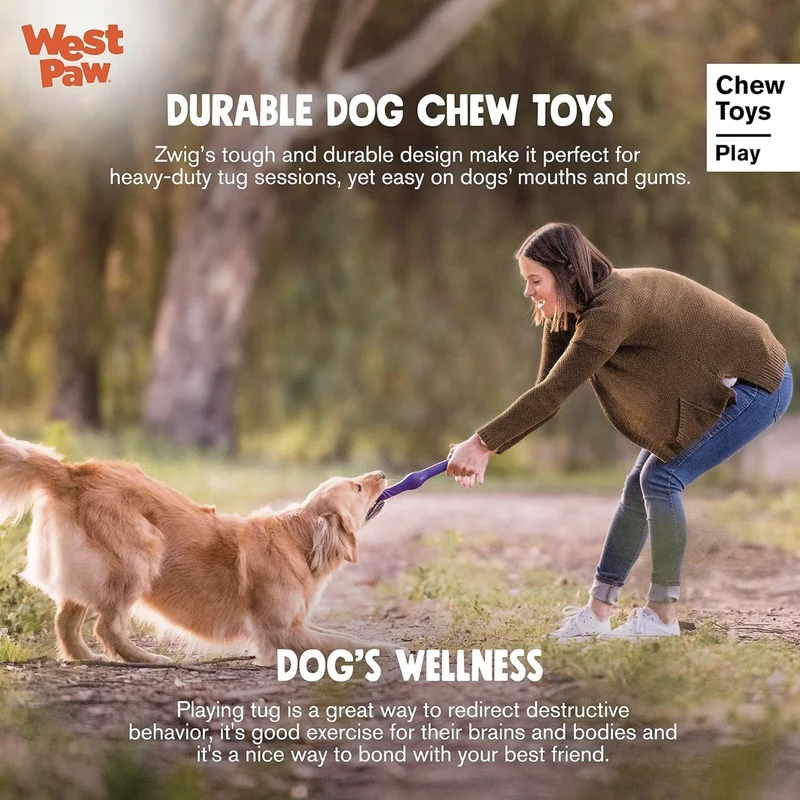 West Paw Zogoflex Zwig – Apportierspielzeug für aktive Hunde, schwimmfähig & robust