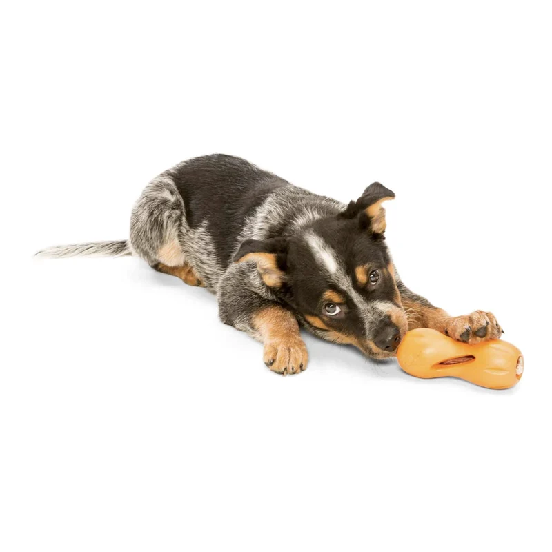 West Paw Zogoflex Qwizl – Robustes, schwimmfähiges Hundespielzeug mit Leckerlie-Funktion für aktive Hunde