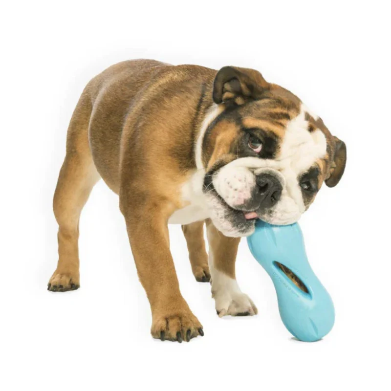 West Paw Zogoflex Qwizl – Robustes, schwimmfähiges Hundespielzeug mit Leckerlie-Funktion für aktive Hunde
