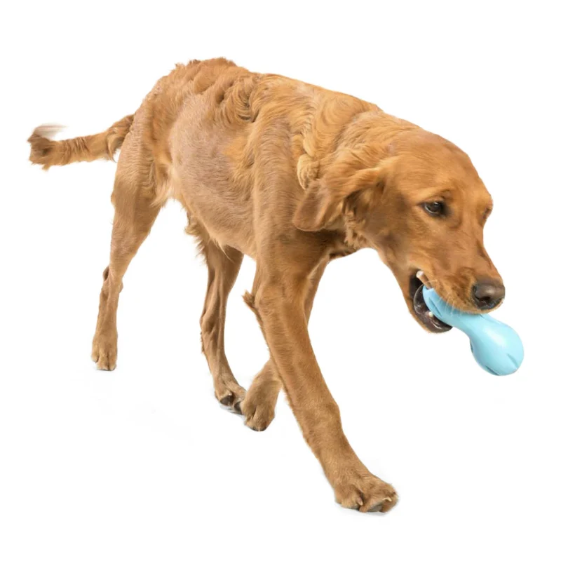 West Paw Zogoflex Qwizl – Robustes, schwimmfähiges Hundespielzeug mit Leckerlie-Funktion für aktive Hunde