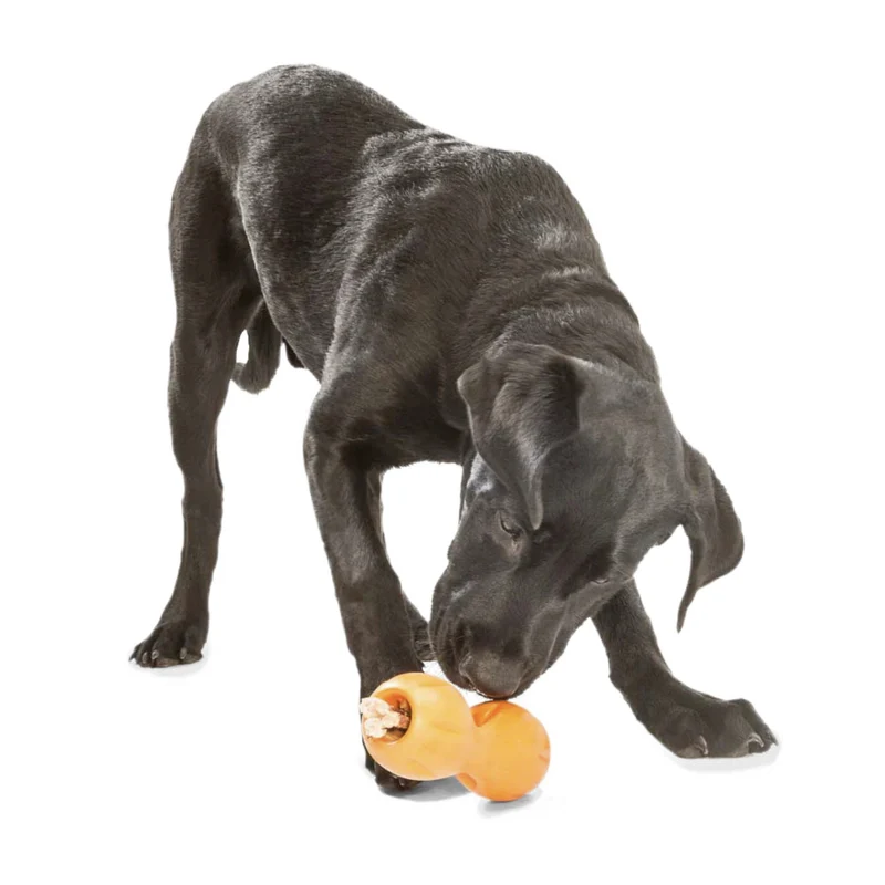 West Paw Zogoflex Qwizl – Robustes, schwimmfähiges Hundespielzeug mit Leckerlie-Funktion für aktive Hunde