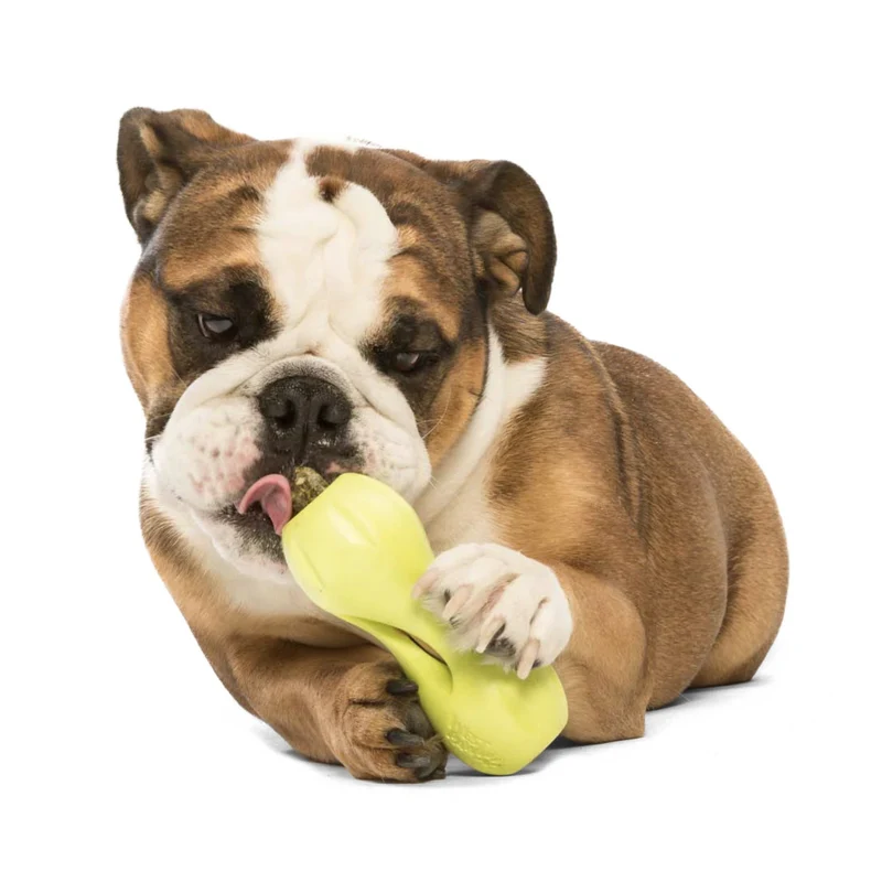 West Paw Zogoflex Qwizl – Robustes, schwimmfähiges Hundespielzeug mit Leckerlie-Funktion für aktive Hunde