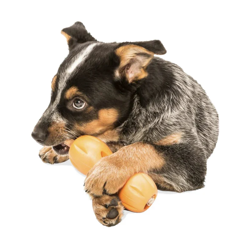 West Paw Zogoflex Qwizl – Robustes, schwimmfähiges Hundespielzeug mit Leckerlie-Funktion für aktive Hunde