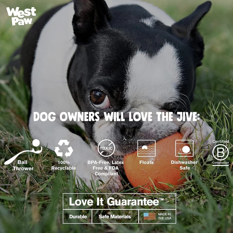 West Paw Zogoflex Jive – Robuster Hundeball für starke Kauer, schwimmfähig & spülmaschinenfest