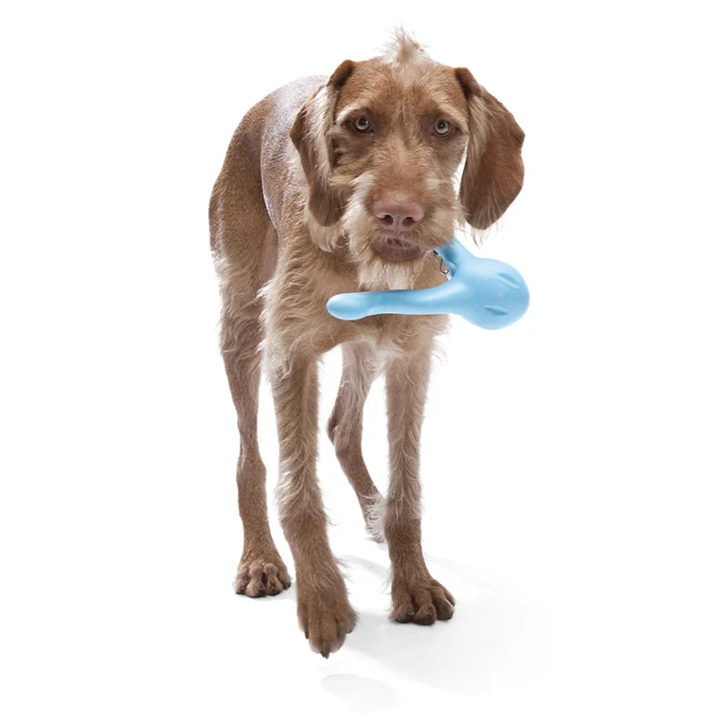 West Paw Zogoflex Tizzi – Interaktives Intelligenzspielzeug für gelangweilte & unterforderte Hunde | Robust, schwimmfähig & befüllbar