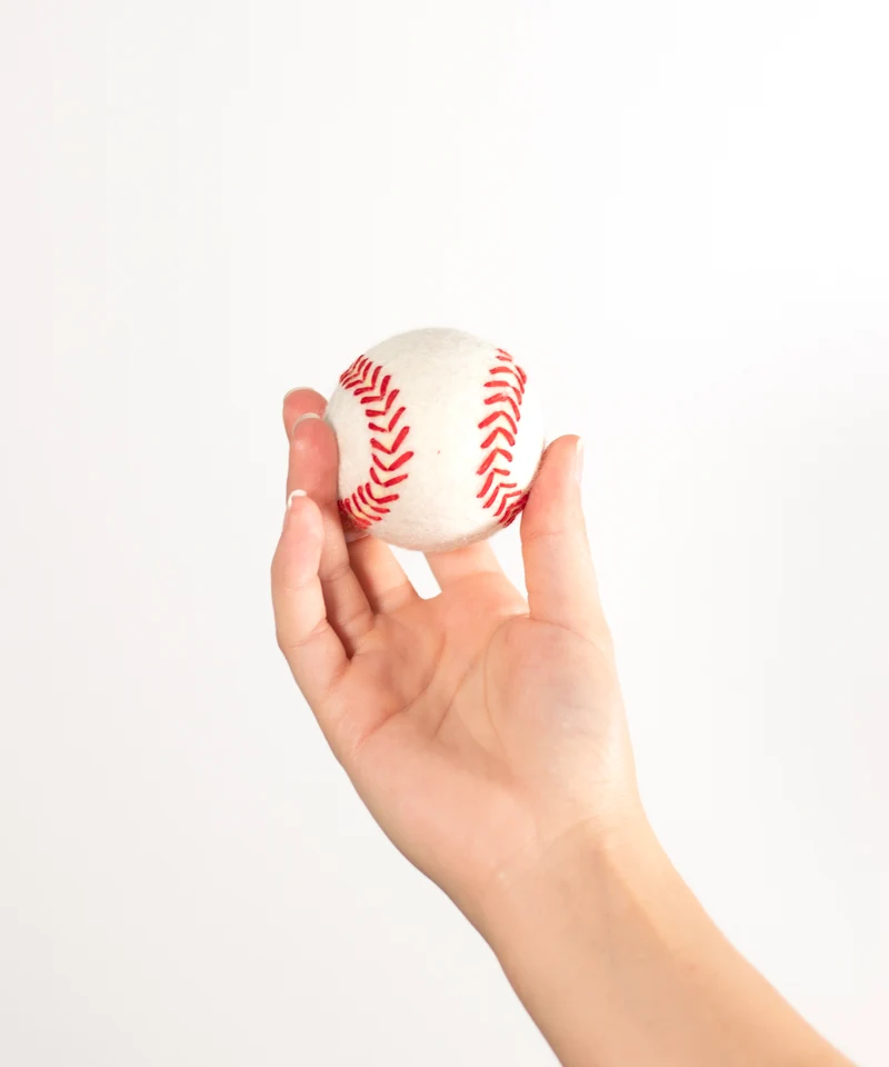 BUDDY. Hunde-Baseball aus Schafwolle - ideal für Welpen und Senioren