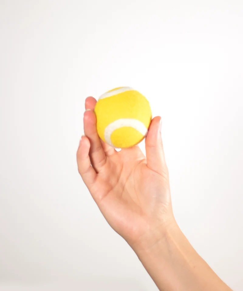 BUDDY. Tennisball für Hunde aus Schafwolle - ideal für Welpen und Senioren