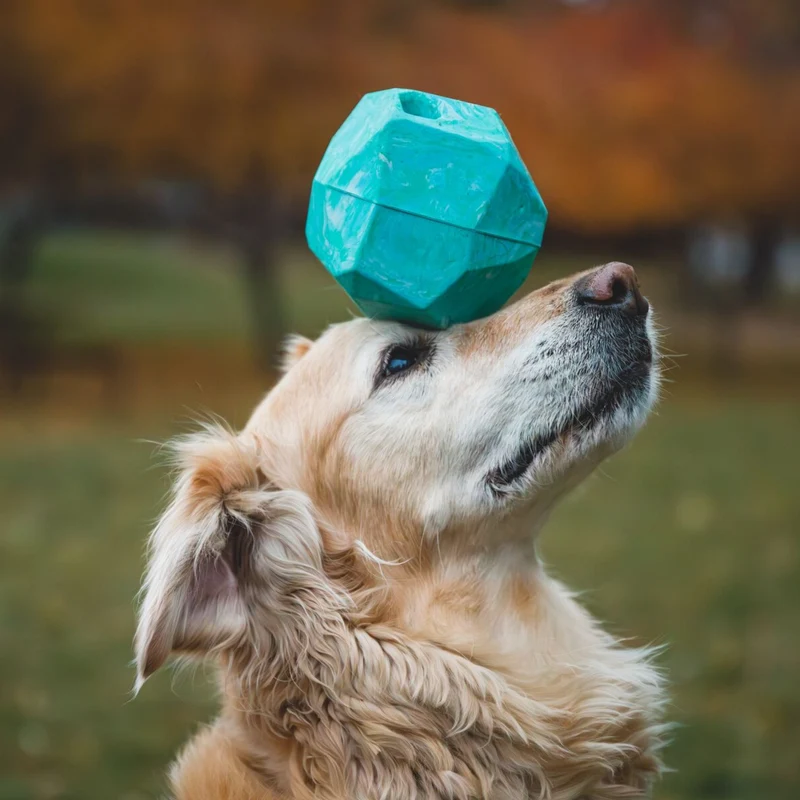 Ruffwear Gnawt-a-Rock - Unzerstörbares Premium-Kauspielzeug für Power-Kauer und aggressive Beißer | Extrem robustes Hundespielzeug für starke Hunde