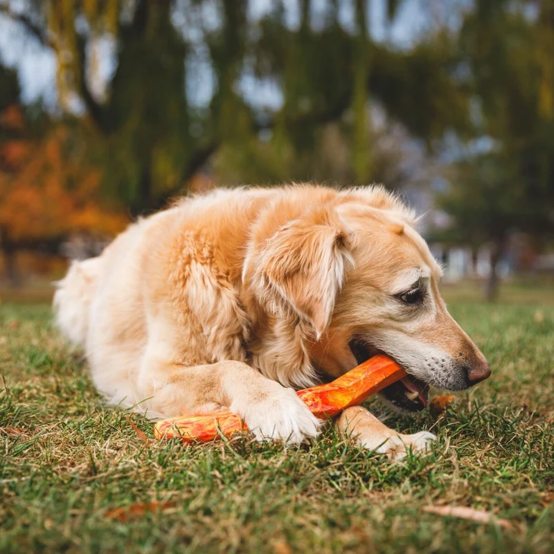 Ruffwear Gnawt-a-Stick – Robustes Kauspielzeug & Apportierstick für aktive Hunde, schwimmfähig & langlebig