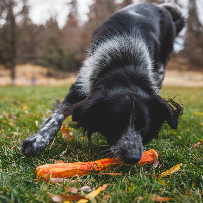 Ruffwear Gnawt-a-Stick – Robustes Kauspielzeug & Apportierstick für aktive Hunde, schwimmfähig & langlebig