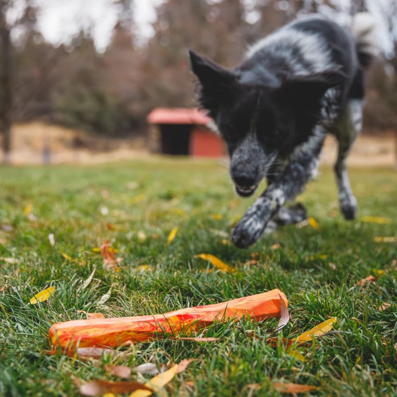 Ruffwear Gnawt-a-Stick – Robustes Kauspielzeug & Apportierstick für aktive Hunde, schwimmfähig & langlebig