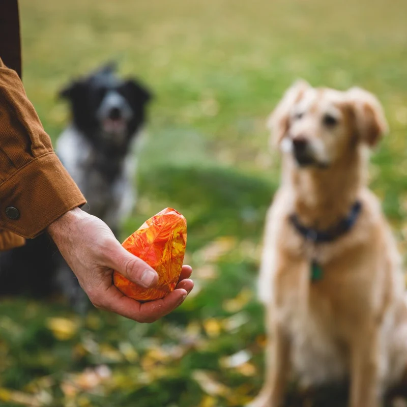 Ruffwear Gnawt-a-Cone – Robustes Kauspielzeug für starke Kauer & intensive Spielsessions