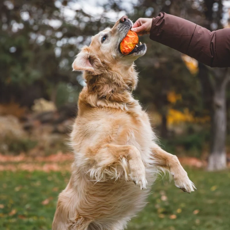 Ruffwear Gnawt-a-Cone – Robustes Kauspielzeug für starke Kauer & intensive Spielsessions