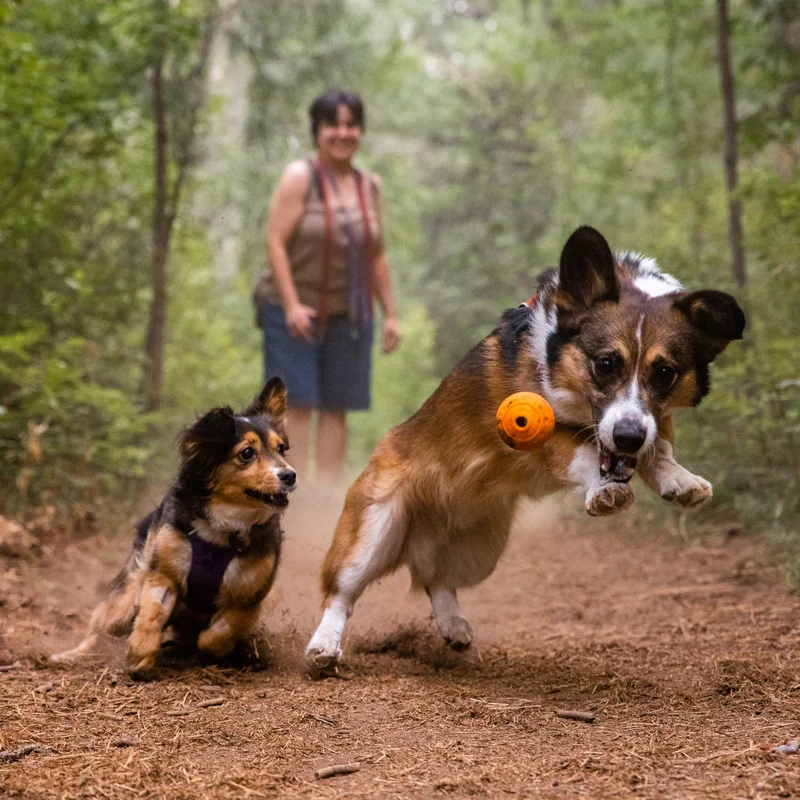 Ruffwear Turnup – Unzerstörbares Hundespielzeug für aktive Hunde, Apportieren & interaktives Training
