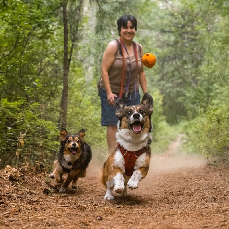 Ruffwear Turnup – Unzerstörbares Hundespielzeug für aktive Hunde, Apportieren & interaktives Training