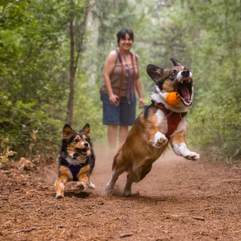 Ruffwear Turnup – Unzerstörbares Hundespielzeug für aktive Hunde, Apportieren & interaktives Training