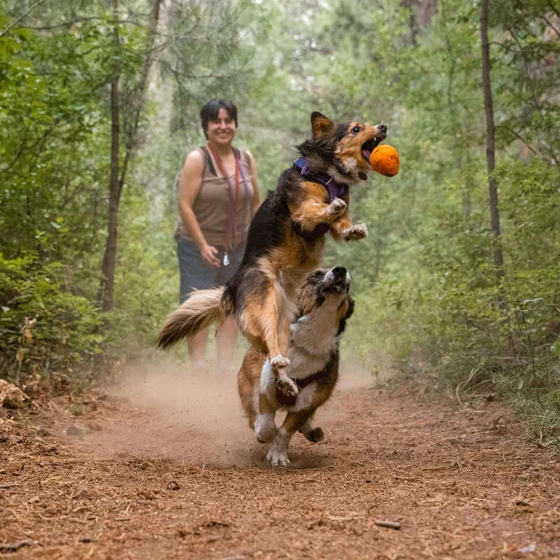 Ruffwear Turnup – Unzerstörbares Hundespielzeug für aktive Hunde, Apportieren & interaktives Training