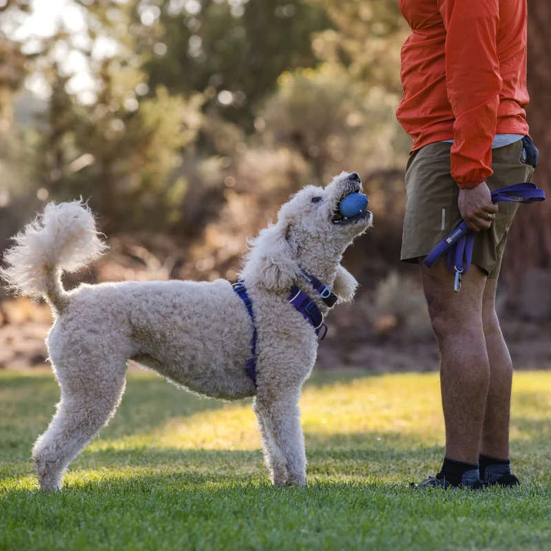 Ruffwear Turnup – Unzerstörbares Hundespielzeug für aktive Hunde, Apportieren & interaktives Training