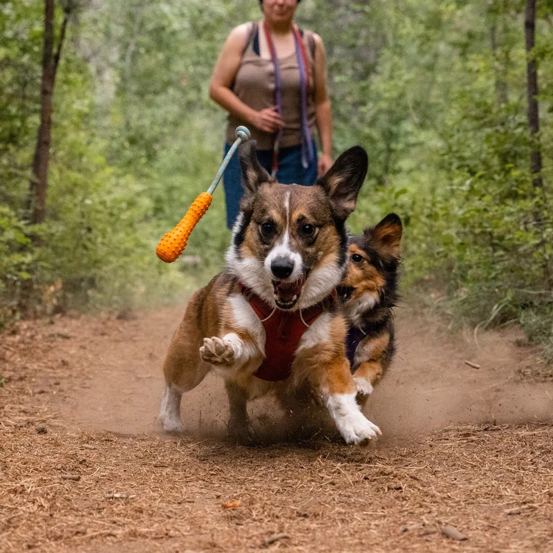 Ruffwear Gourdo – Apportierspielzeug für aktive Hunde | Bissfest & Langlebig aus Naturkautschuk