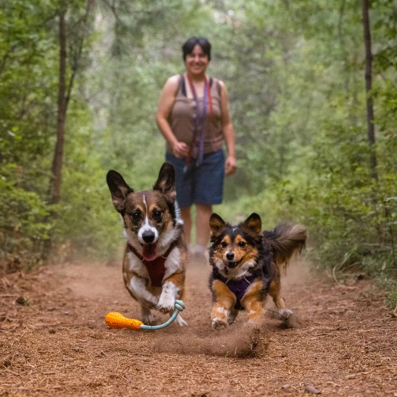 Ruffwear Gourdo – Apportierspielzeug für aktive Hunde | Bissfest & Langlebig aus Naturkautschuk