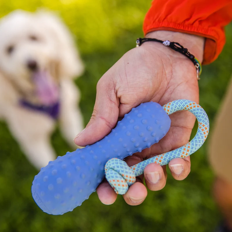 Ruffwear Gourdo – Apportierspielzeug für aktive Hunde | Bissfest & Langlebig aus Naturkautschuk