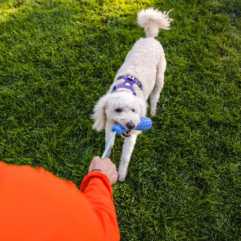 Ruffwear Gourdo – Apportierspielzeug für aktive Hunde | Bissfest & Langlebig aus Naturkautschuk