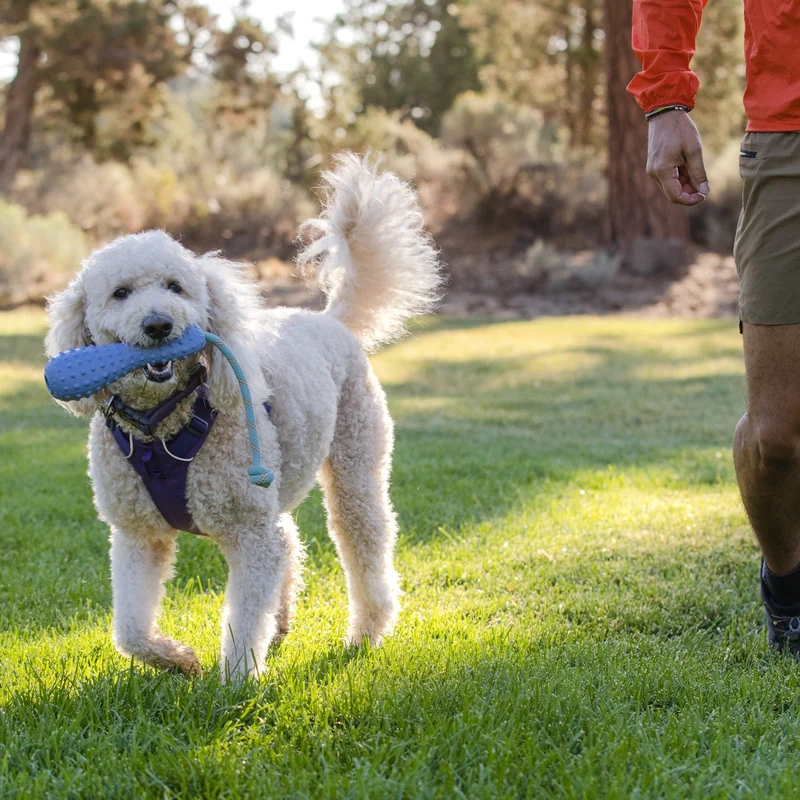 Ruffwear Gourdo – Apportierspielzeug für aktive Hunde | Bissfest & Langlebig aus Naturkautschuk