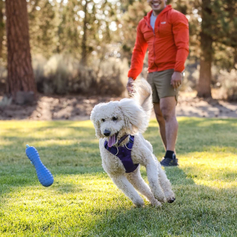 Ruffwear Gourdo – Apportierspielzeug für aktive Hunde | Bissfest & Langlebig aus Naturkautschuk