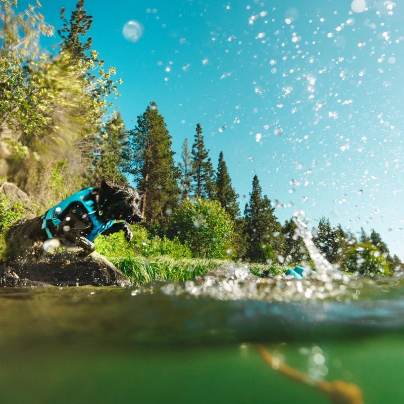 Ruffwear Lunker – Schwimmendes Hundespielzeug für Apportiertraining, Wasserspaß & aktive Hunde | Robust & langlebig
