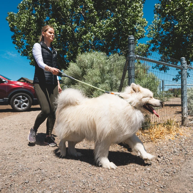 Ruffwear Knot-a-Long Hundeleine – Reflektierende Premium-Leine mit rutschfestem Griff und Sicherheitskarabiner für maximale Kontrolle