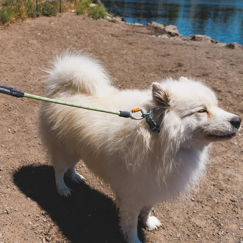 Ruffwear Knot-a-Long Hundeleine – Reflektierende Premium-Leine mit rutschfestem Griff und Sicherheitskarabiner für maximale Kontrolle