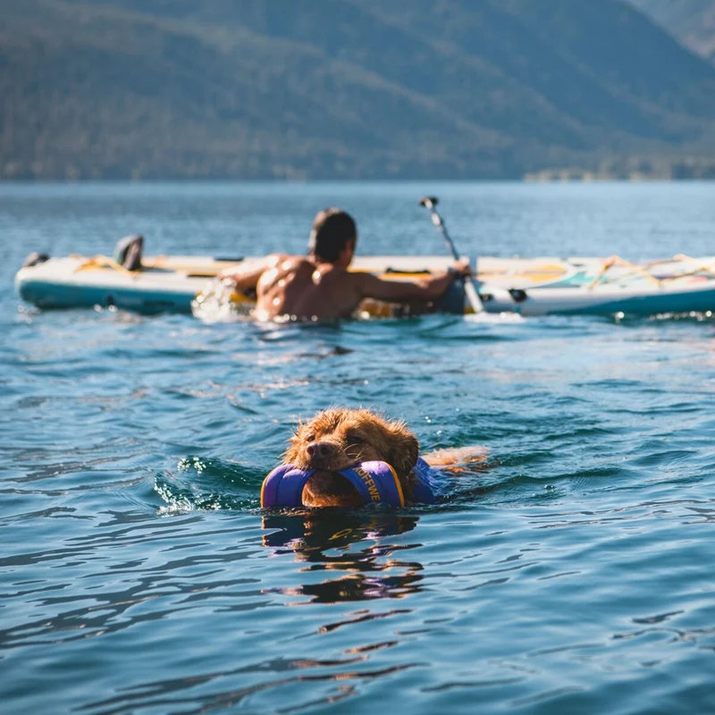 Ruffwear Hydro Plane – Schwimmendes Wasserspielzeug für apportierfreudige Hunde | Robust & gut sichtbar für Seen, Flüsse & Meer