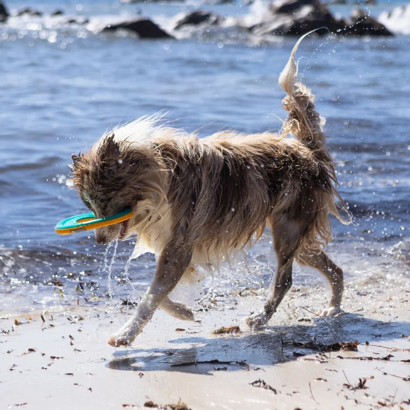 Ruffwear Hydro Plane – Schwimmendes Wasserspielzeug für apportierfreudige Hunde | Robust & gut sichtbar für Seen, Flüsse & Meer