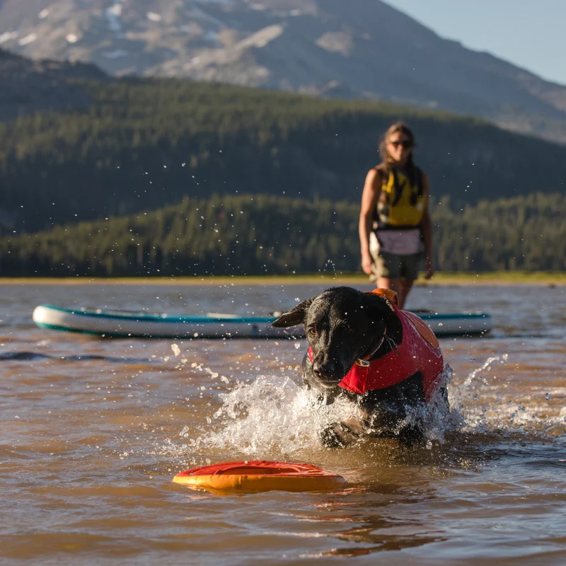 Ruffwear Hydro Plane – Schwimmendes Wasserspielzeug für apportierfreudige Hunde | Robust & gut sichtbar für Seen, Flüsse & Meer